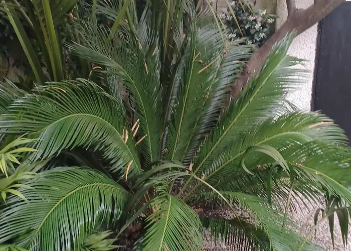 Appartement A-mare *