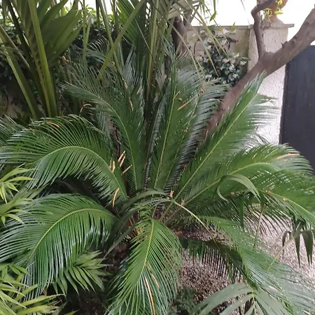 Appartement A-mare *